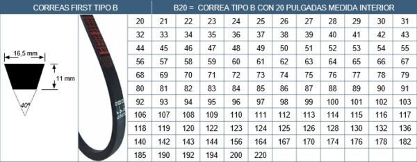 Correas  B 126 .(126" Int X 16.5Mm ) - Imagen 3