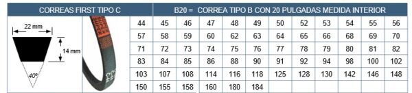 Correas  C 100 .(100" Int X 22 Mm. ) - Imagen 3