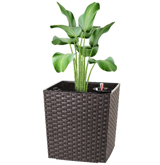 Maceta ? Ratan 25X25X25 Cm. C/Sist Riego Marron 1 Maceta ? Ratan 25X25X25 Cm. C/Sist Riego Marron