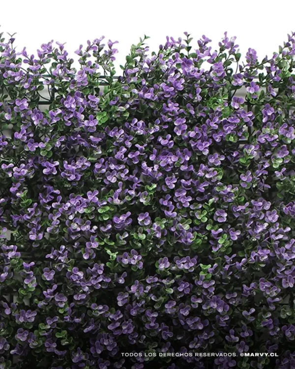 Jardín Vertical 50x50 - Buxus Violeta - Imagen 3