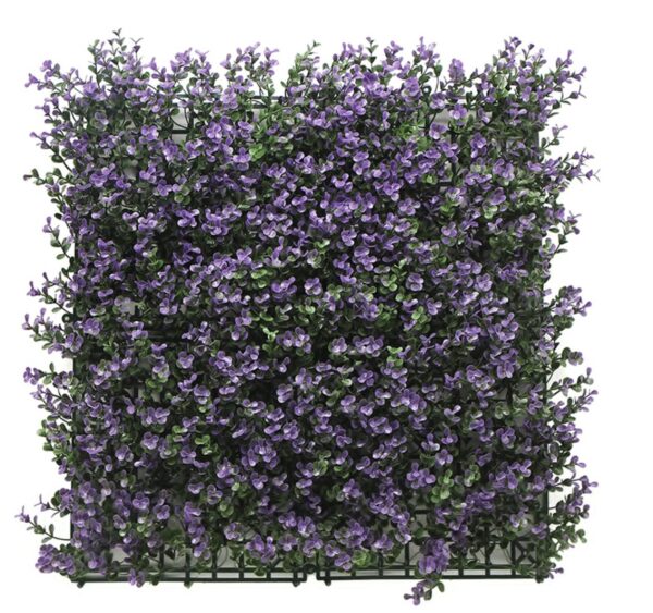 Jardín Vertical 50x50 - Buxus Violeta